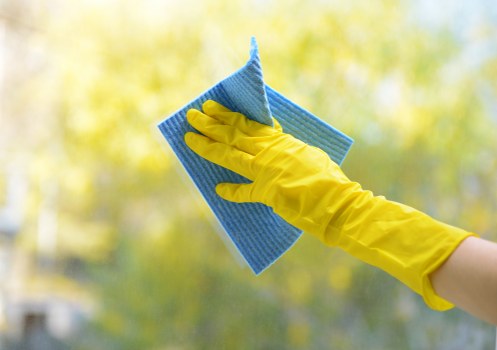 Local carpet cleaners in Teddington delivering quality results