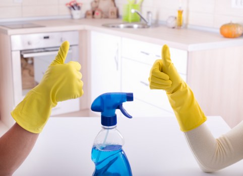 Deep cleaning a fabric sofa with specialized equipment