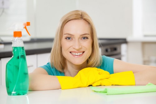 Dust and allergen removal from a mattress