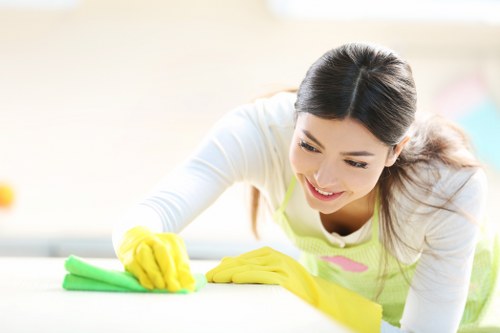 Steam cleaning curtains for a fresh interior