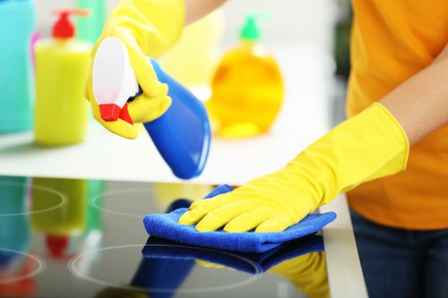 Risk assessment before carpet cleaning in a property