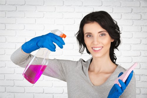 Professional carpet cleaning assessment in Teddington