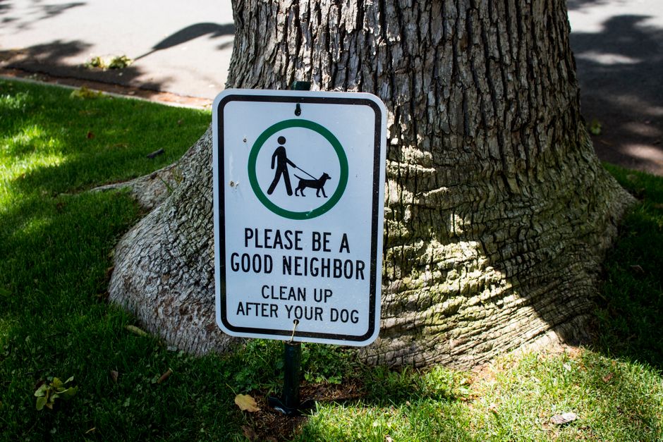 A rectangular white sign with a black border is mounted on a metal stake in front of a large tree trunk, situated on a grassy area. The sign features a green circular icon depicting a person walking a